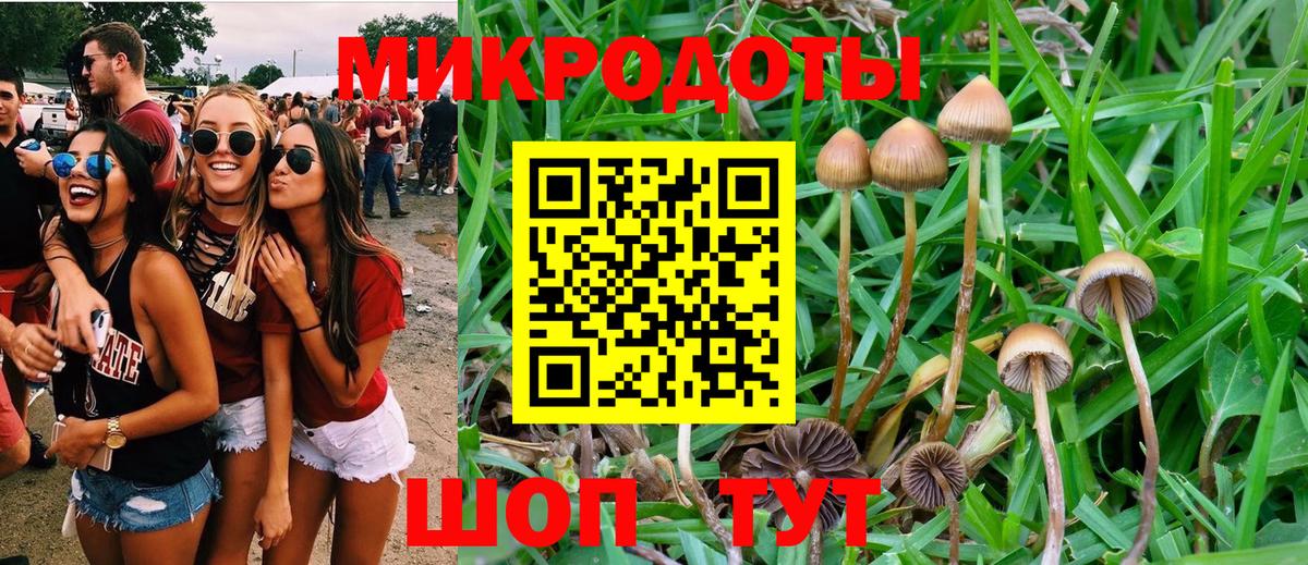 Галлюциногенные грибы прущие грибы Миасс