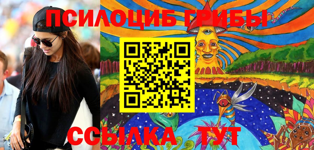 Галлюциногенные грибы Psilocybine cubensis  Псилоцибиновые грибы прущие грибы  Миасс  Вход с VPN 